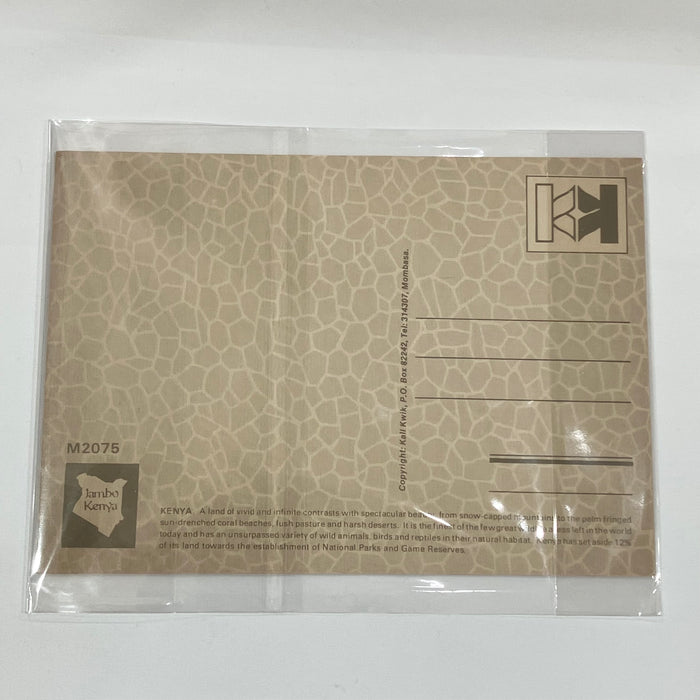 ポストカ－ド　S