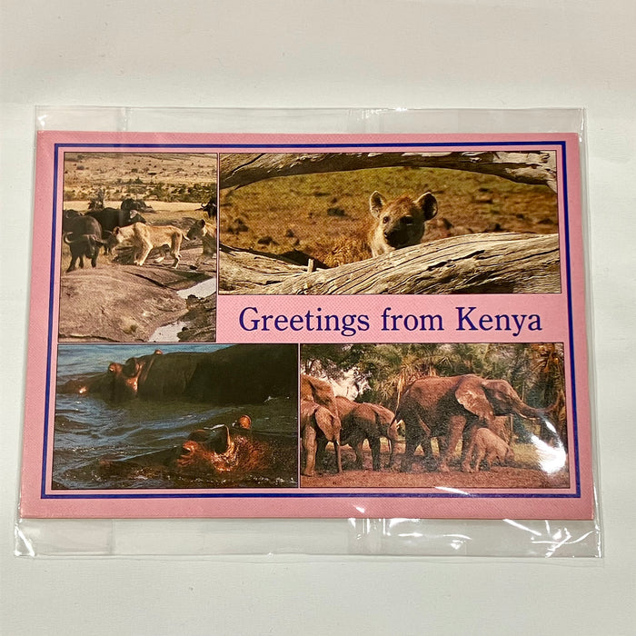 ポストカ－ド　S