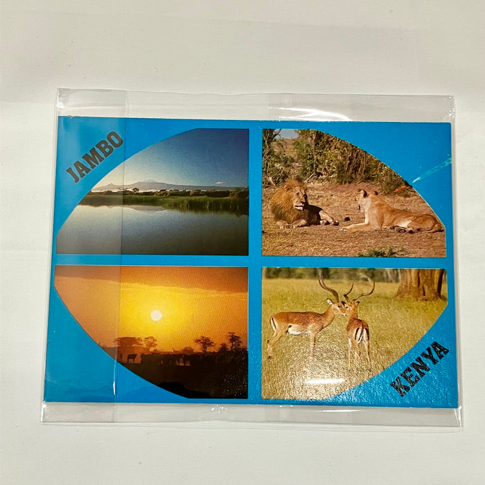 ポストカ－ド　S