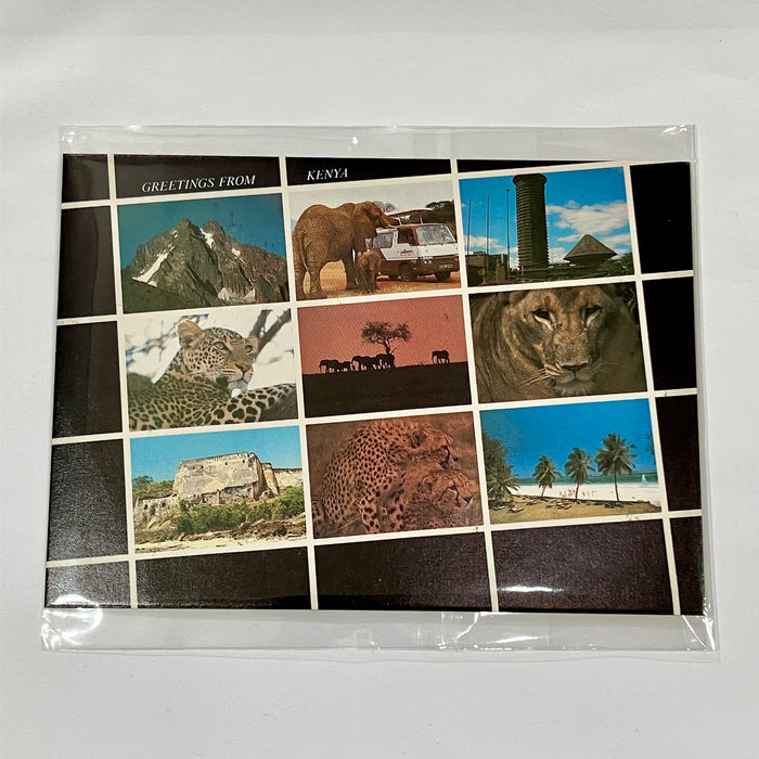 ポストカ－ド　S